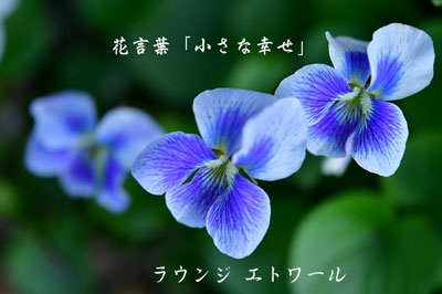 �k�V�n ���E���W �N���u �G�g���[��